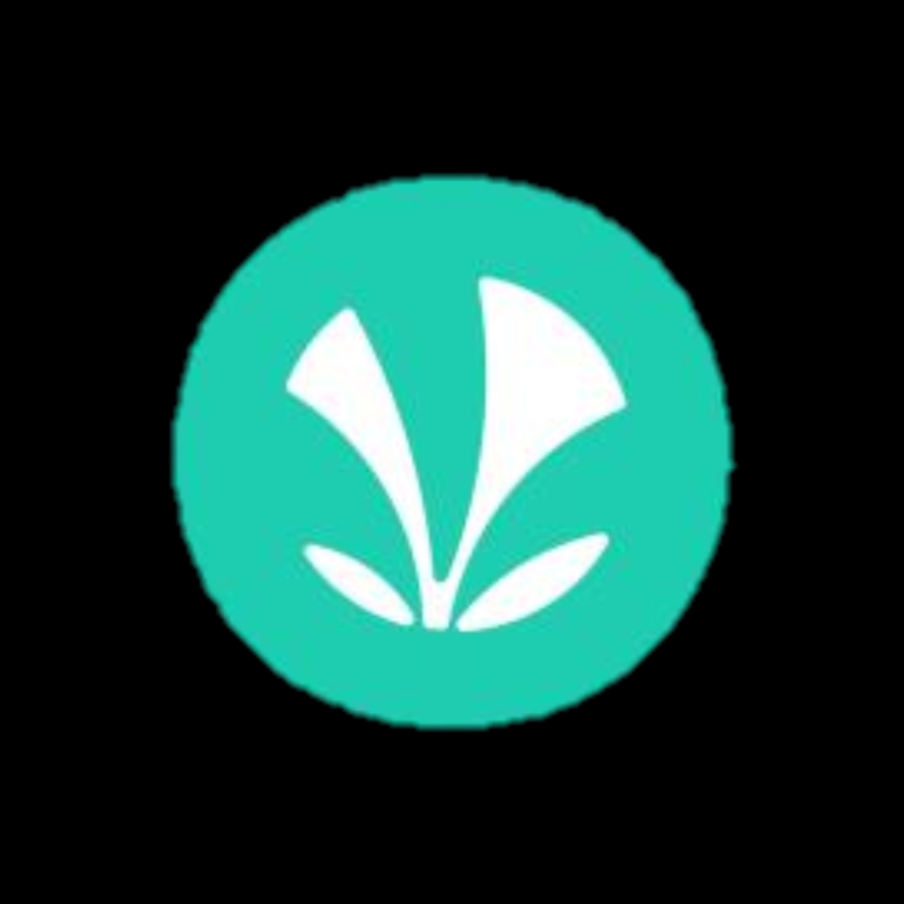 JioSaavn